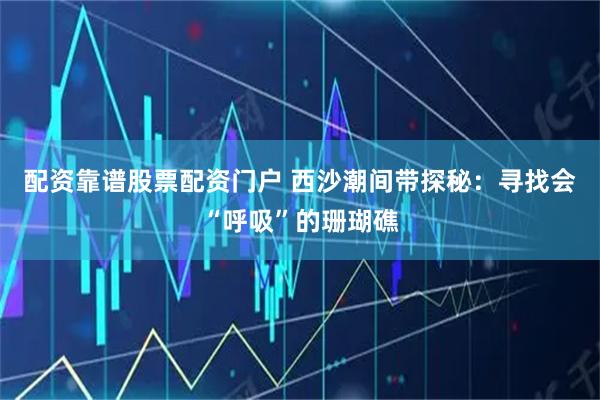 配资靠谱股票配资门户 西沙潮间带探秘：寻找会“呼吸”的珊瑚礁